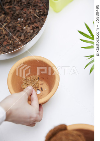 年輕的女人，花店 35989499