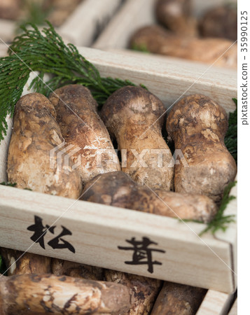 松茸蘑菇在商店排隊 松茸蘑菇在商店排隊 35990125