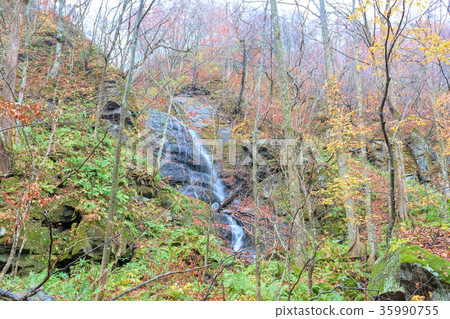 Oirase mountain stream (November Lake Towada autumn morning rain) Oirase mountain stream (November Lake Towada autumn morning rain) 35990755
