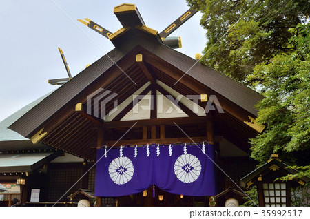 東京Ojinjinga 35992517