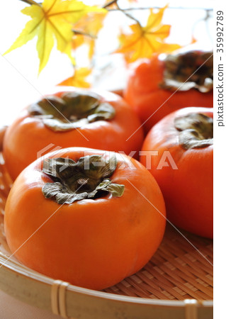 persimmon persimmon 35992789