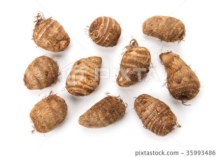 Taro Taro 35993486