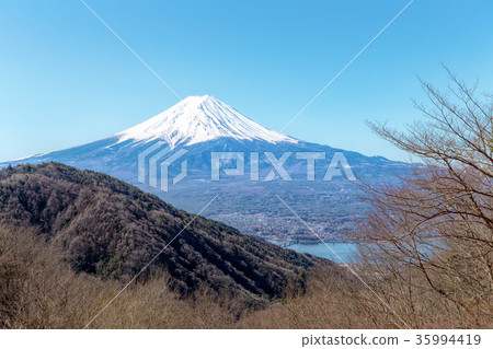 Mt. Fuji (March 3rd floor) 35994419