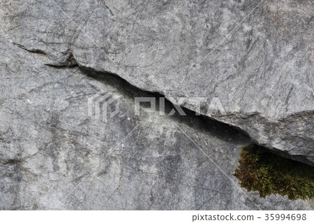 Rough rough skin 35994698