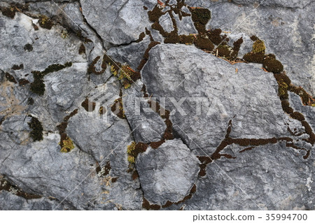 Rough rough skin Rough rough skin 35994700