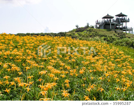 台灣東部風光 35995287
