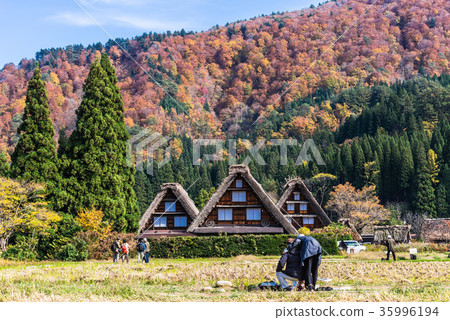 Shirakawago in autumn 35996194