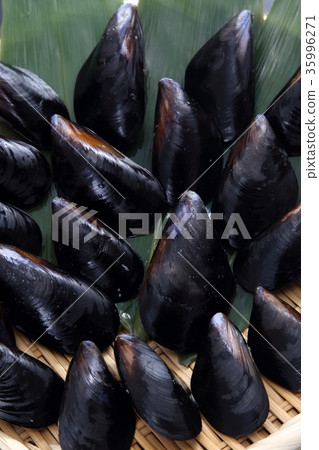 mussels mussels 35996271