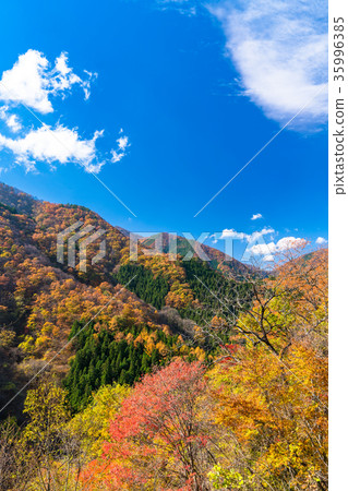 Autumn nature scenery 35996385