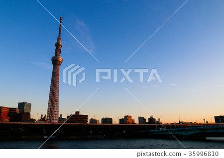 天空樹沐浴在夕陽下 天空樹沐浴在夕陽下 35996810