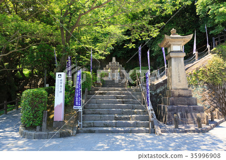 Satsuma Monster Satsuma Monster 35996908