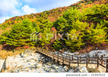 Unzen hell and autumn leaves silk hell Nagasaki Unzen hell and autumn leaves silk hell Nagasaki 35997632