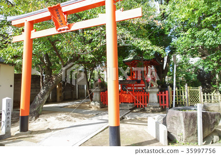 Sekimori神社 Sekimori神社 35997756