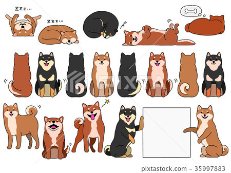 Material of Shiba Inu has outline 35997883