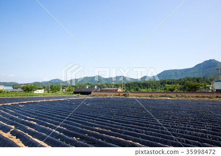 Non, Sangju, Gyeongbuk 35998472