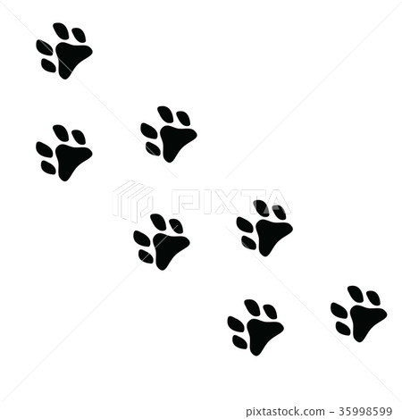 Paw print icon 35998599