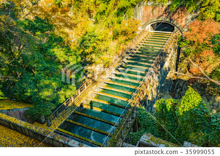 秋葉掩映的輸水渠和隧道，構成一幅秋日美景。工業遺產與自然和諧共存的景象。 35999055