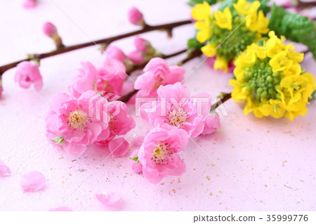 Flower peach rape blossoms Japanese paper background 35999776