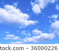 Sky 6 36000226
