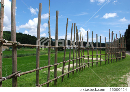 Sigurahara Old Battlefield恢復了馬護欄 Sigurahara Old Battlefield恢復了馬護欄 36000424