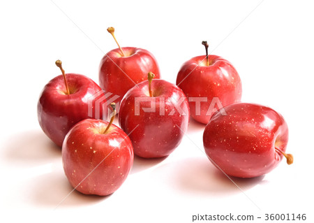 Apple(阿爾卑斯少女) Apple(阿爾卑斯少女) 36001146