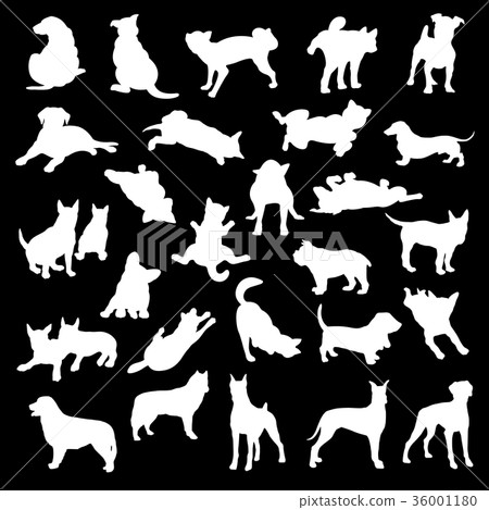 Dog illustration Dog illustration 36001180