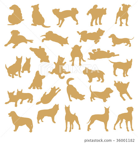 Dog illustration Dog illustration 36001182