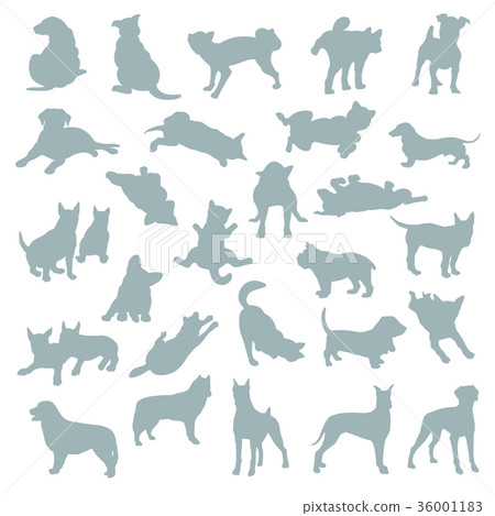 Dog illustration Dog illustration 36001183