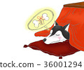 Dog 36001294