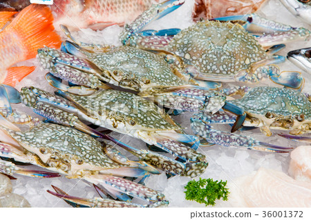 fresh sea crabs on ice 36001372