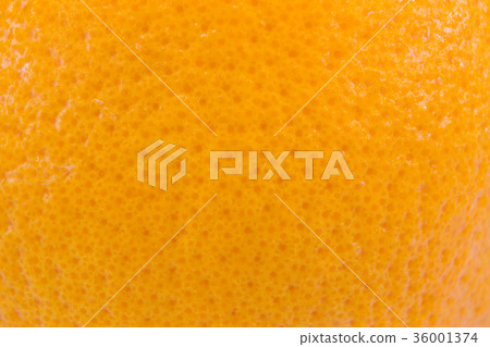 close up grapefruit or orange peel texture 36001374