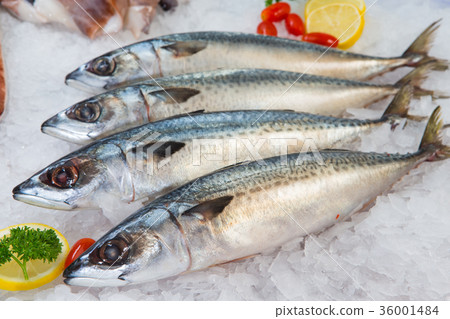 Fresh Mackerel or Saba Fish on ice in market 36001484