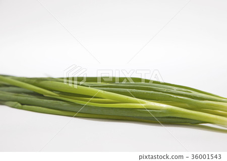 Green onion Green onion Universal onion 36001543