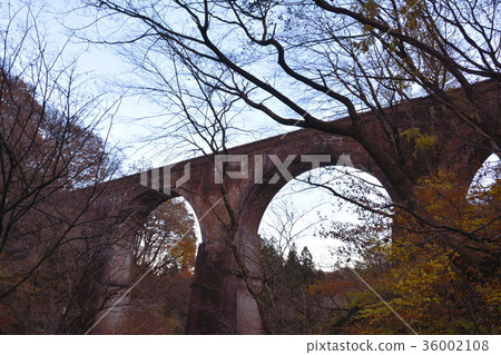 Megane Bridge 36002108