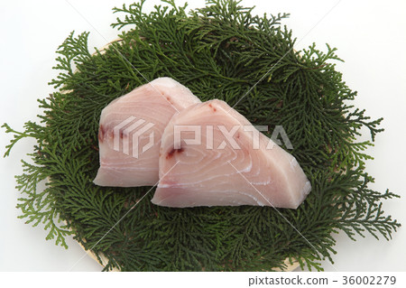 Sword fawn fillet Sword fawn fillet 36002279
