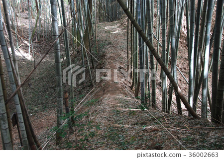 Ogaki Castle ruins Dobashi Ogaki Castle ruins Dobashi 36002663