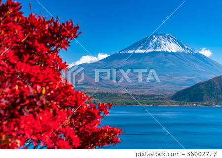 富士山 富士山 36002727