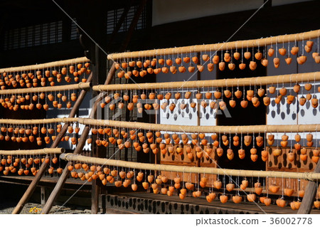 Licorice house 36002778