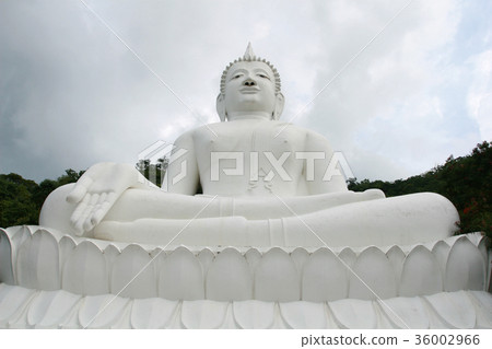 White Buddha Statue White Buddha Statue 36002966