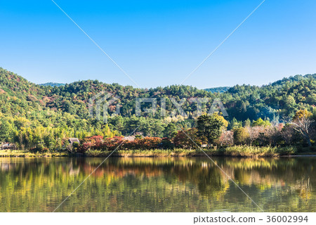 Kyoto in the fall Hirosawa pond Kyoto in the fall Hirosawa pond 36002994