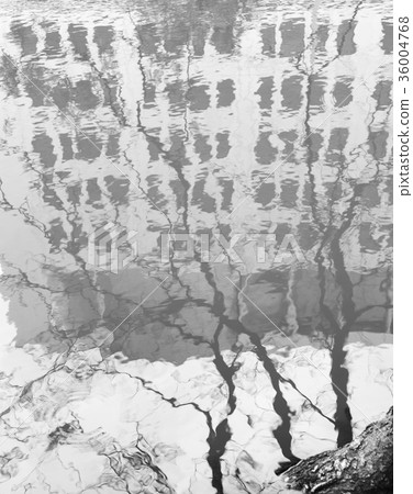 abstract/background 36004768