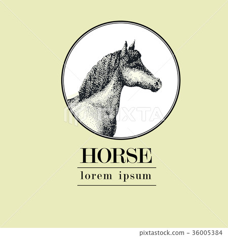 Horse, vintage engraved illustration. Logo 36005384