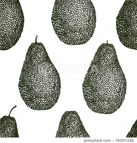 Vector hand drawn avocado seamless pattern. Whole 36005386