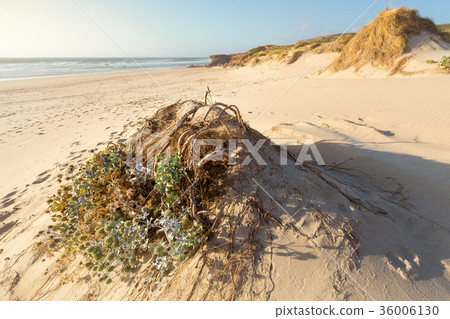 Praia da Bordeira, Algarve, Portugal 36006130