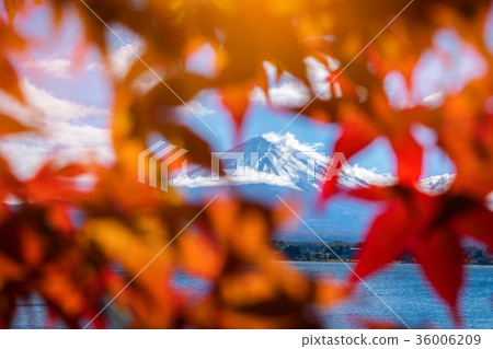 Mount Fuji in Autumn Color, Japan Mount Fuji in Autumn Color, Japan 36006209