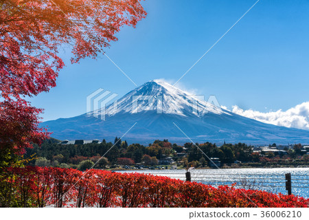 Mount Fuji in Autumn Color, Japan Mount Fuji in Autumn Color, Japan 36006210