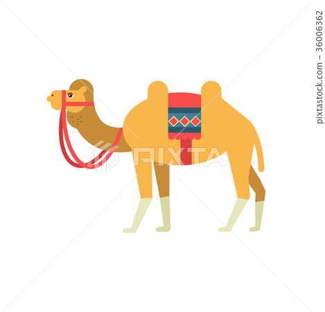 Camel whit saddle and cover on the back, two Camel whit saddle and cover on the back, two 36006362