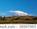Mount Fuji and clouds 36007465