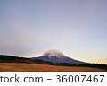 Fuji in the evening 36007467