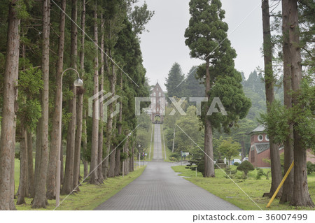 北海道函館特拉普派修道院 北海道函館特拉普派修道院 36007499